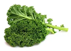 Organic kale FD powder