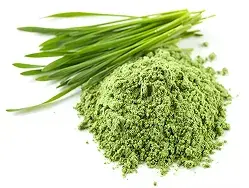 Organic wheat grass powder