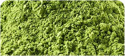 ORGANIC MATCHA POWDER