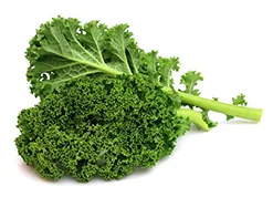 Organic kale FD powder