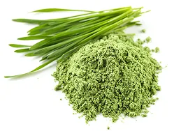 Organic wheat grass powder